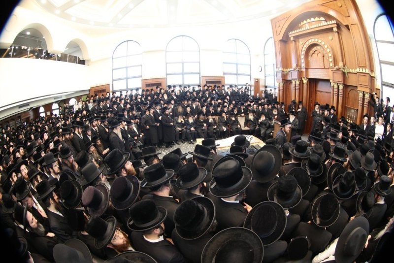 שלומי טריכטר