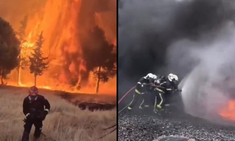 מאבק עיקש מול להבות הענק: תיעודים משריפות הענק בספרד ובצרפת