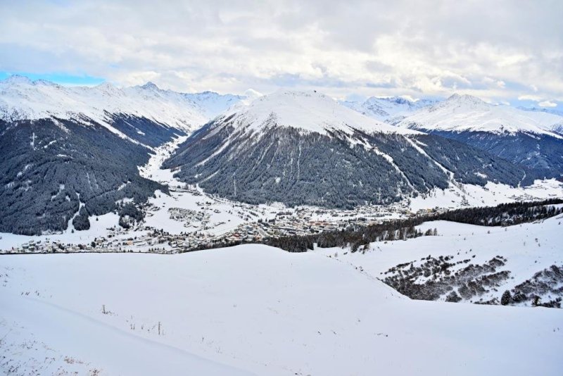 יהושע פרוכטר