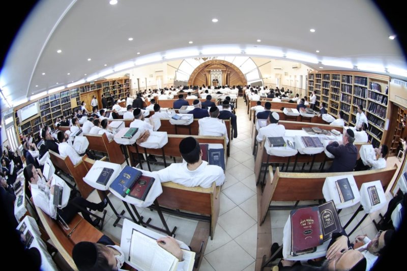 שלומי טריכטר