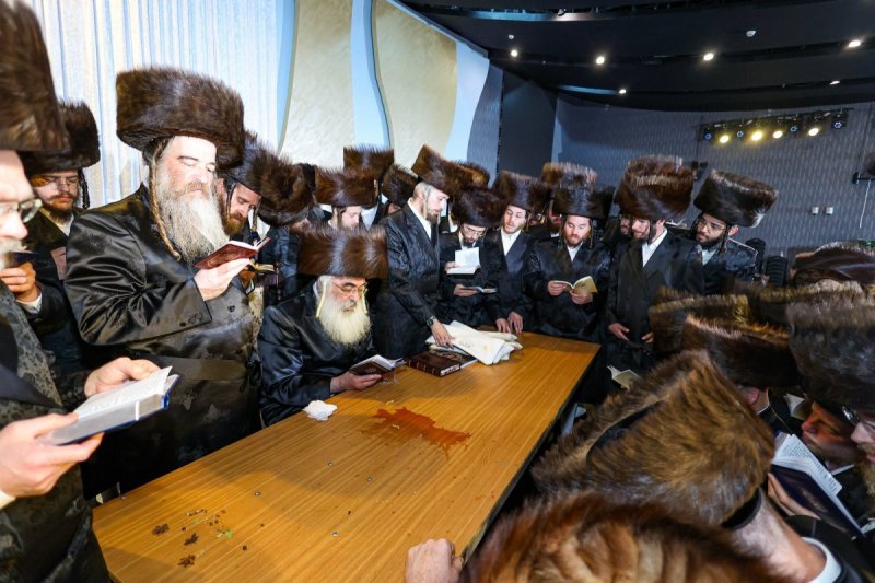 שלומי טריכטר