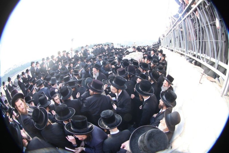 שלומי טריכטר