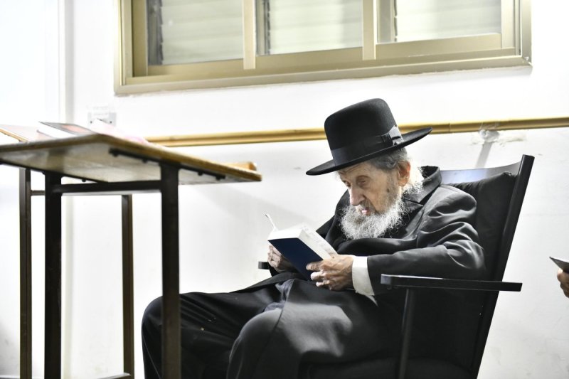 שוקי לרר