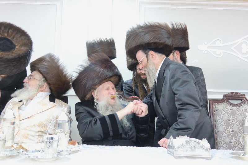 שימי פ.