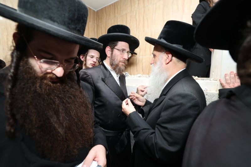 דוד ארזני וארי קופרשטוק