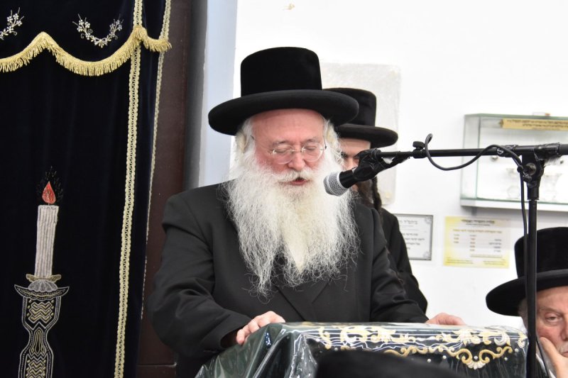 יהודה פרקוביץ