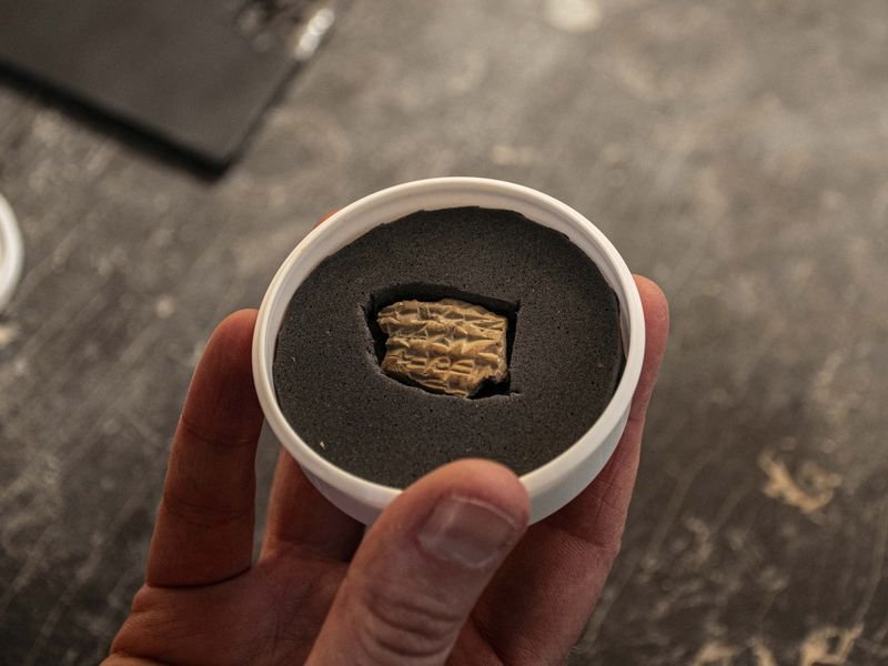 יולי שוורץ רשות העתיקות