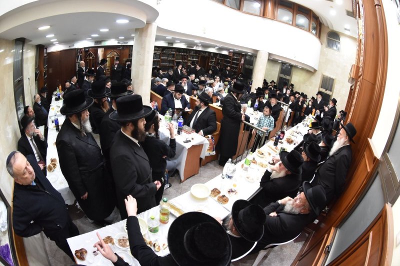 יהודה פרקוביץ