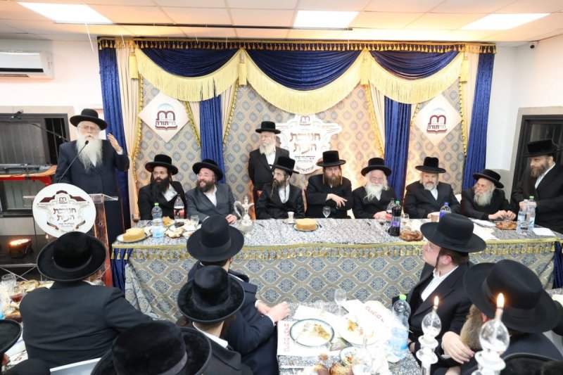 קובי הר צבי