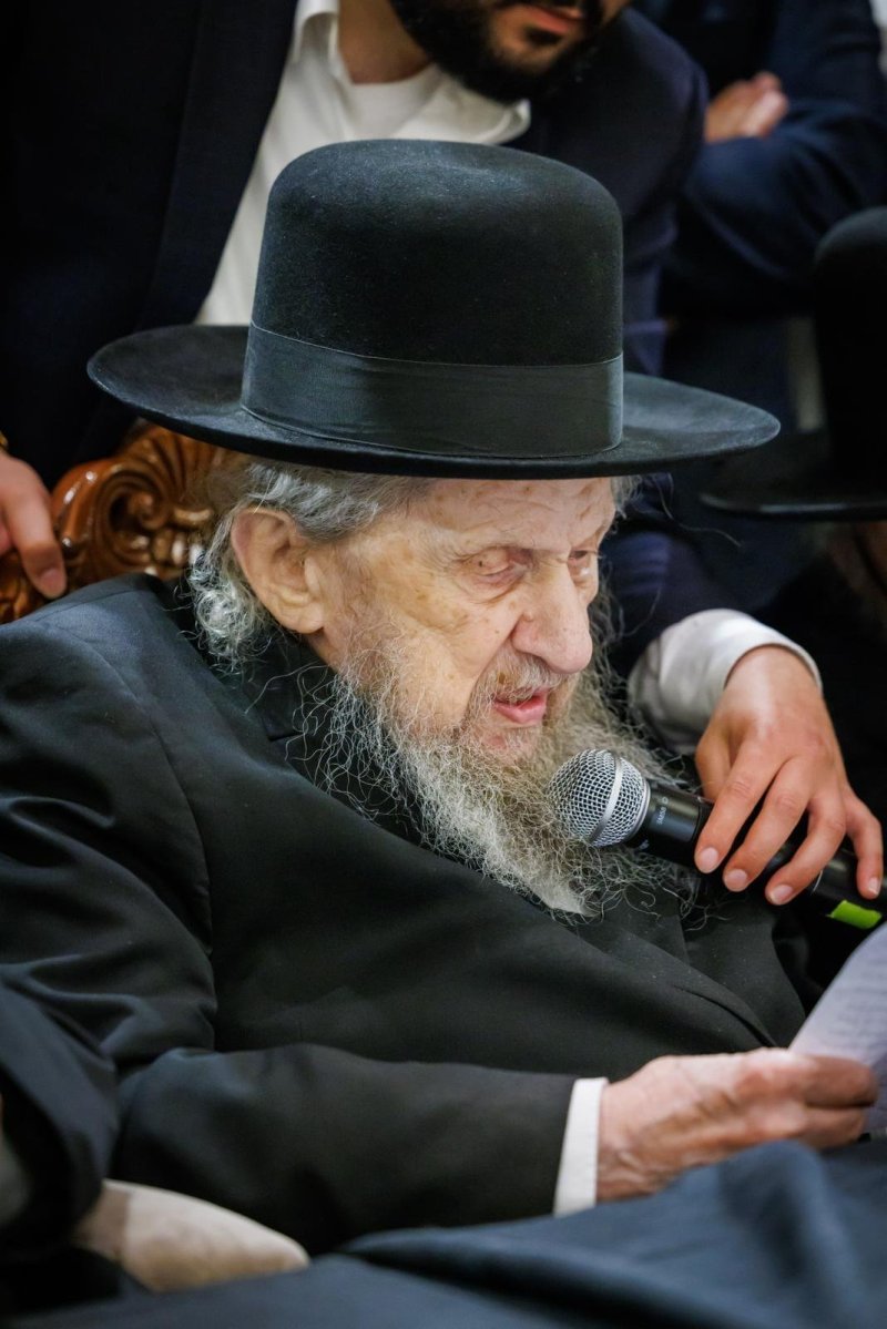 דניאל נפוסי ומאיר זלזניק