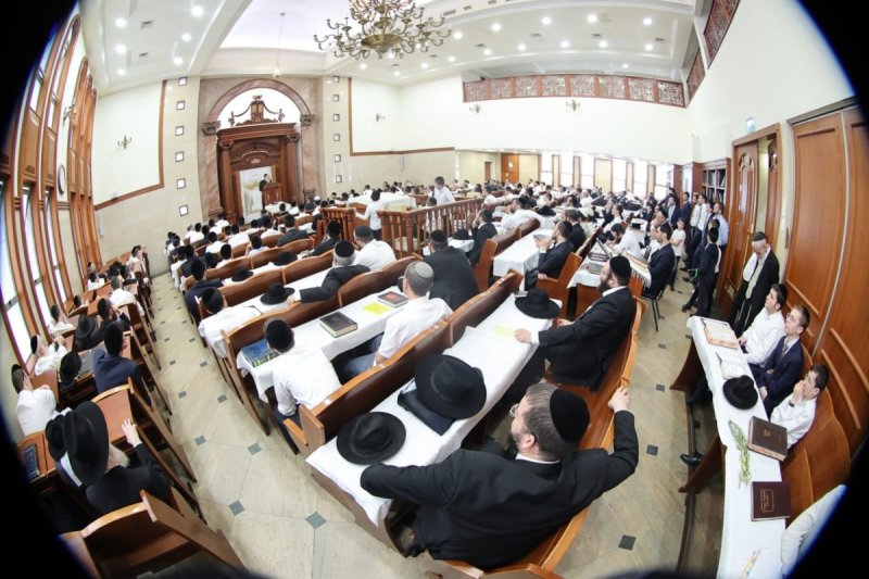 שלומי טריכטר