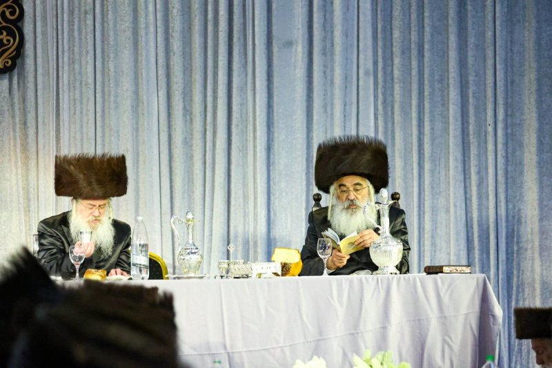 שלומי טריכטר