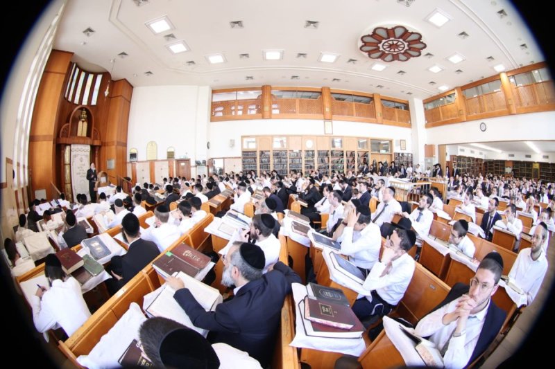 שלומי טריכטר