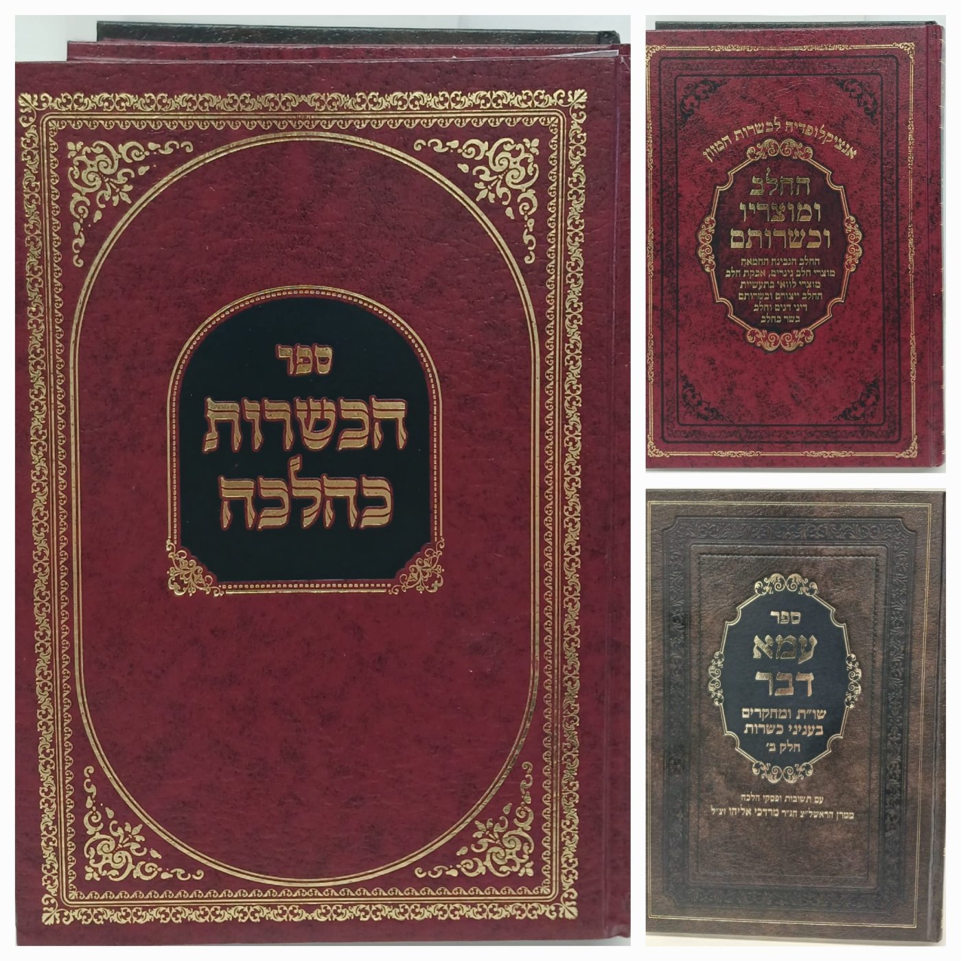 באדיבות המצלם