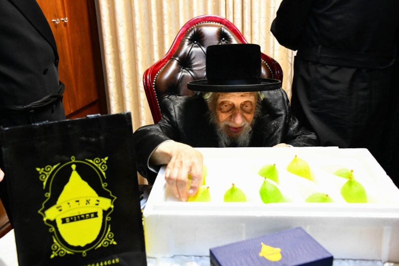 שוקי לרר