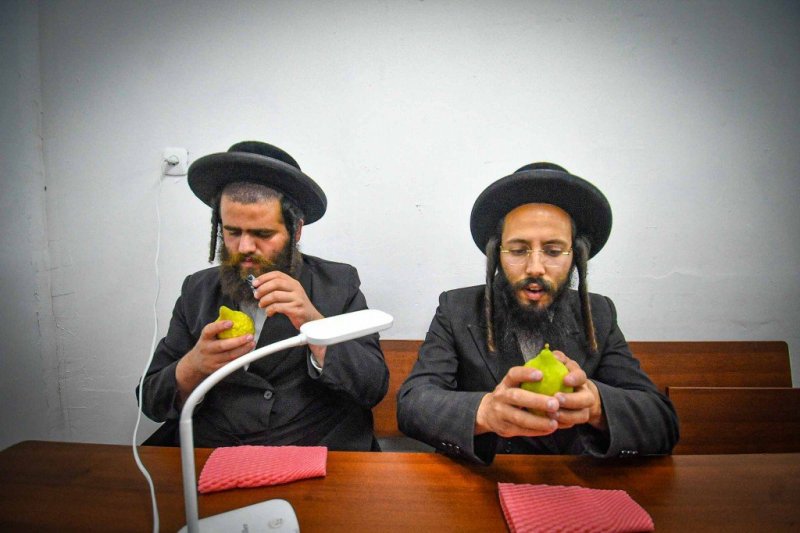 ארי קופרשטוק