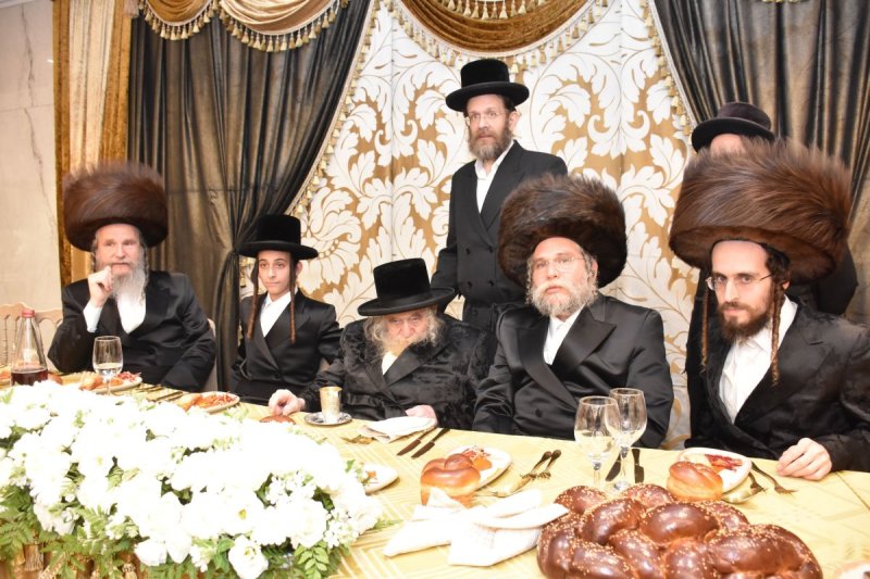 יהודה פרקוביץ