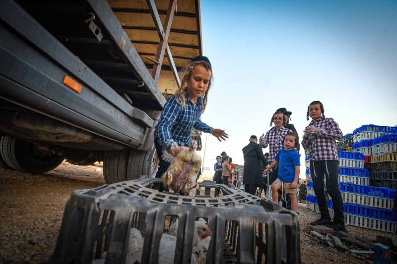 ארי קופרשטוק