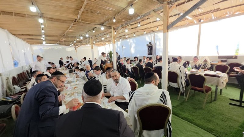 באדיבות המצלם