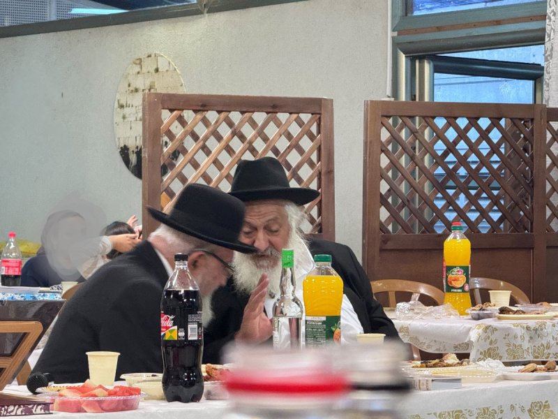 אבי דרעי