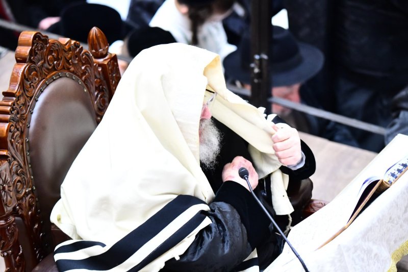 שוקי לרר
