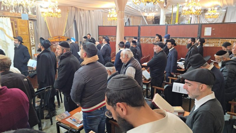 באדיבות המצלם