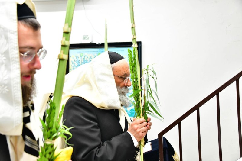 שוקי לרר