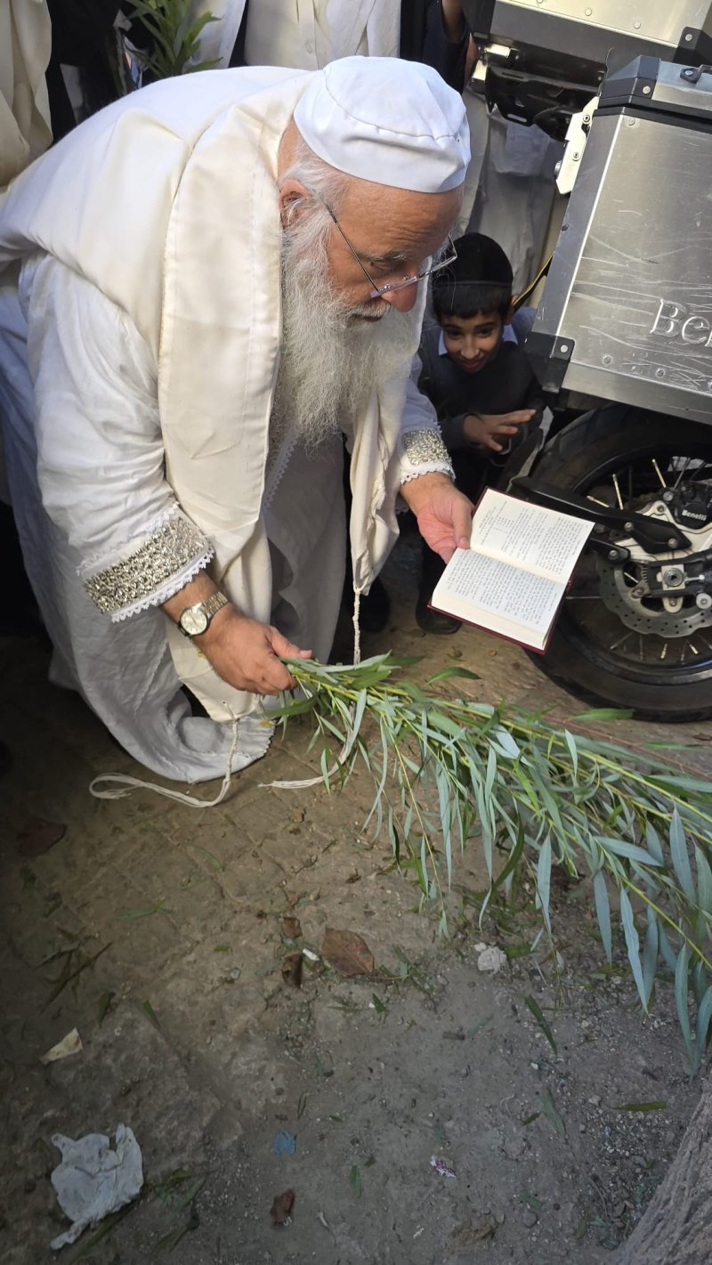 שלומי טריכטר ומ.פ