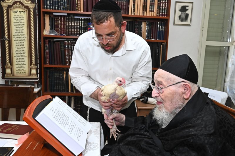 שוקי לרר