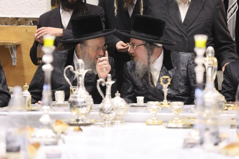 נתי אמרגי