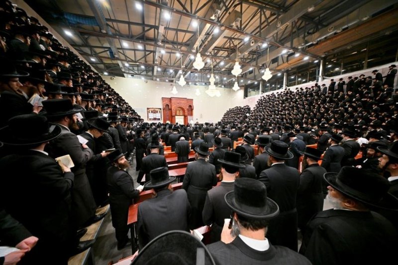 יהושע פרוכטר