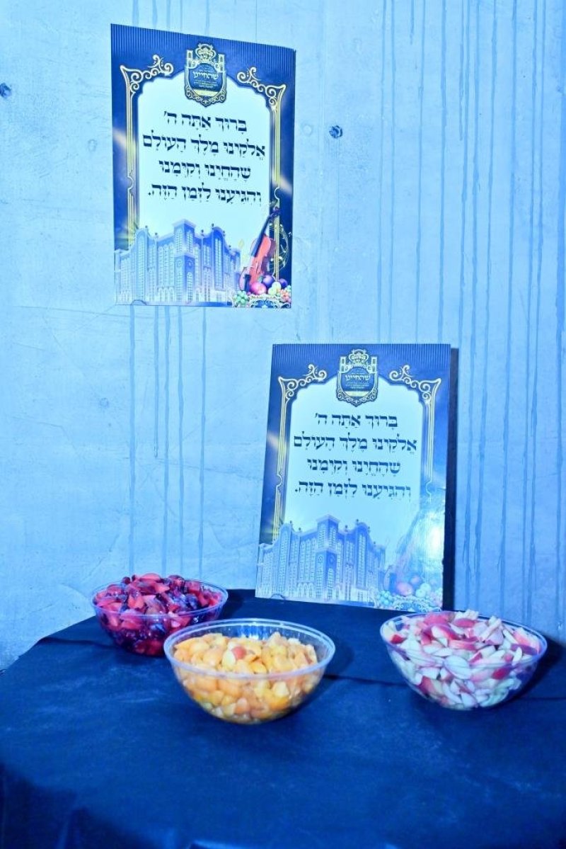 יהושע פרוכטר