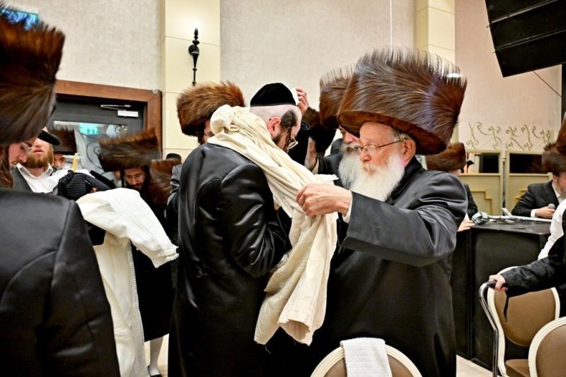 יהושע פרוכטר