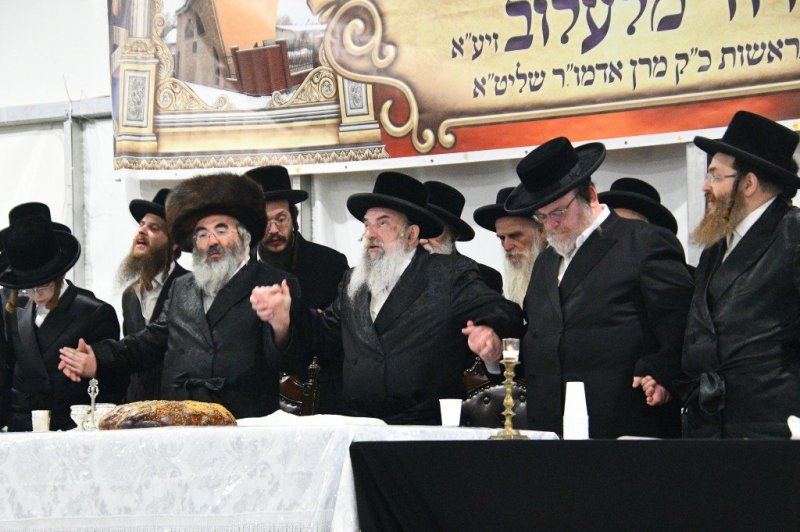 ארי קופרשטוק