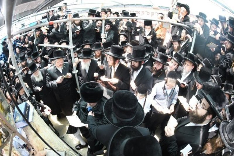 אנשיל בעק וא.מ.ש