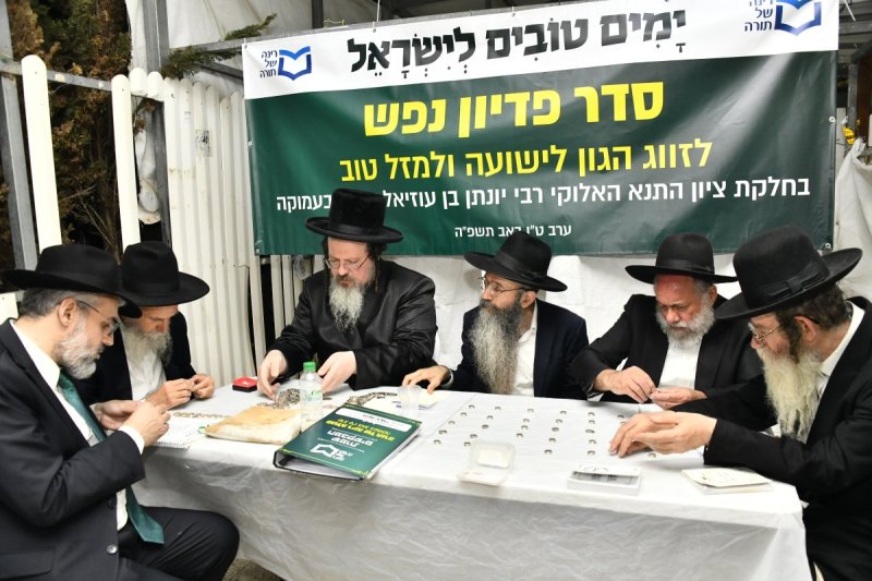 רינה של תורה