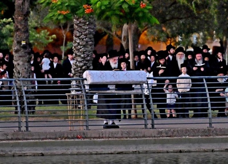 יהושע פרוכטר