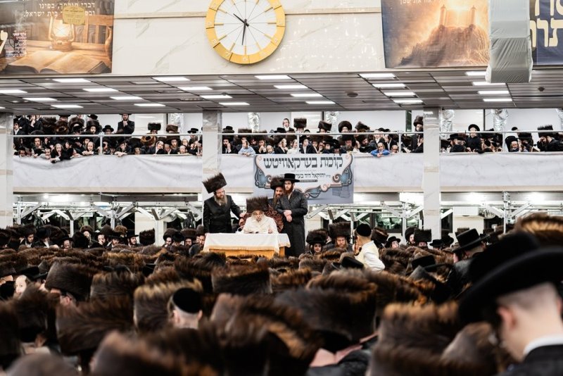 י. שטיין
