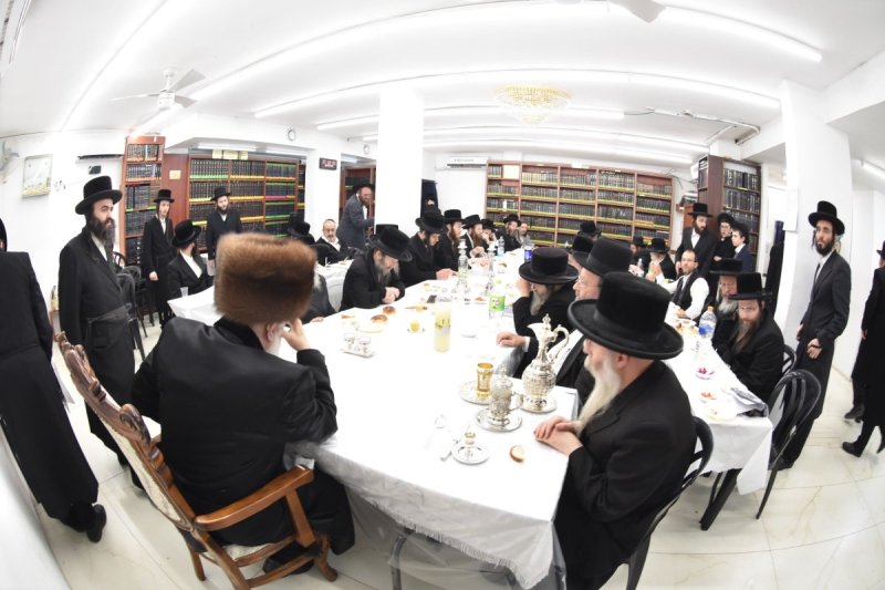 יהודה פרקוביץ