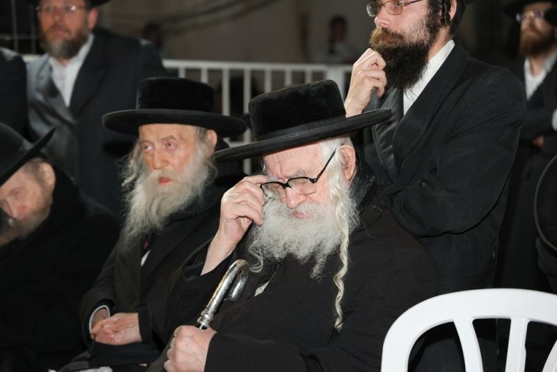 דוד ארזני