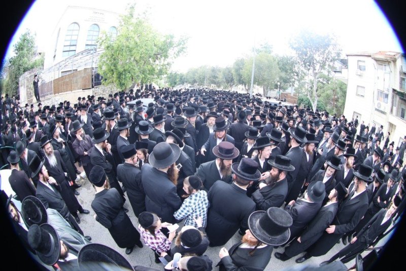 שלומי טריכטר