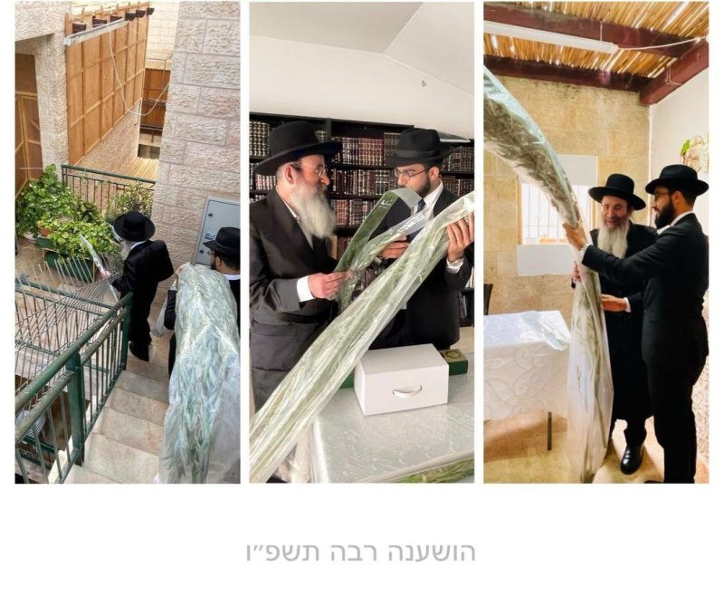 באדיבות המצלם