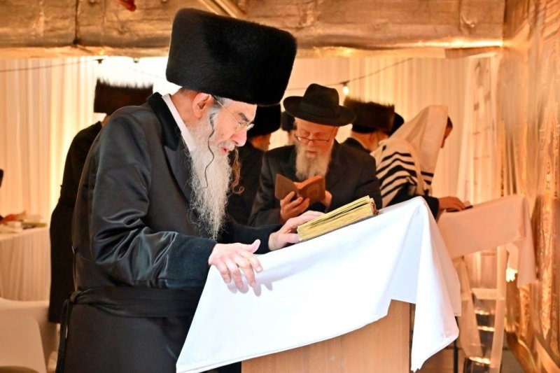 יהושע פרוכטר