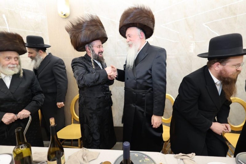 שלומי טריכטר