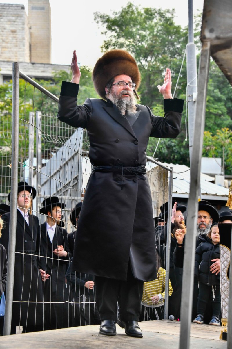שוקי לרר