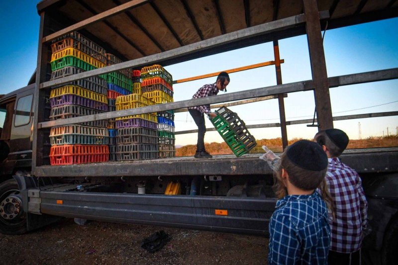 ארי קופרשטוק