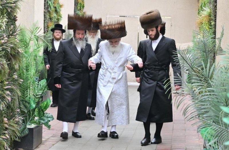 יהושע פרוכטר