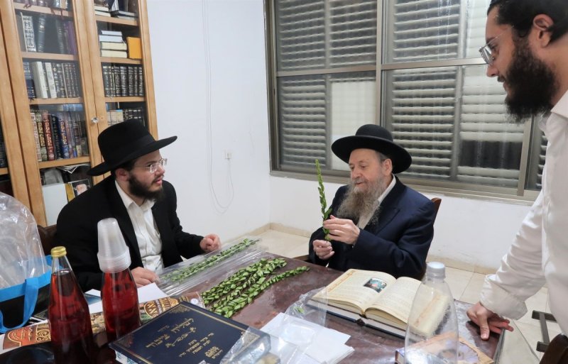 י. פריד
