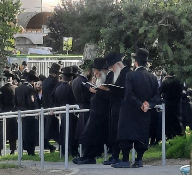 קרדיט צילום: סיון כהן אביטן שלומי טבצניק