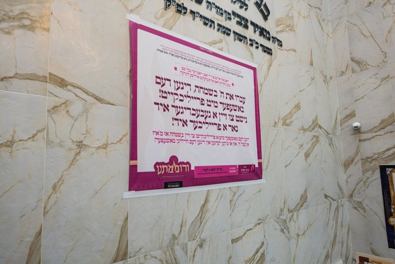 י. שטיין